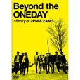 Beyond the ONEDAY ~Story of 2PM & 2AM~ 初回限定生産版(3枚組) [DVD]